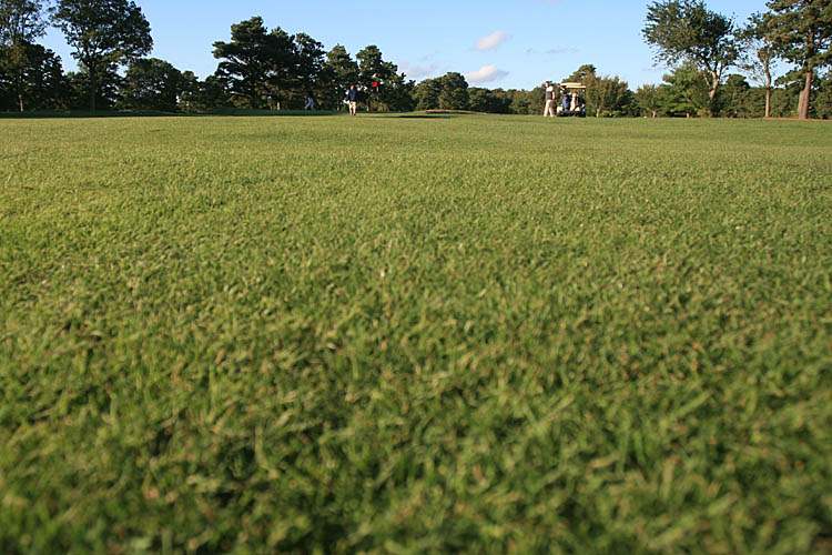 When you get overhydrated there is a cool view from the lawn. :-) When you get overhydrated there is a cool view from the lawn. :-)